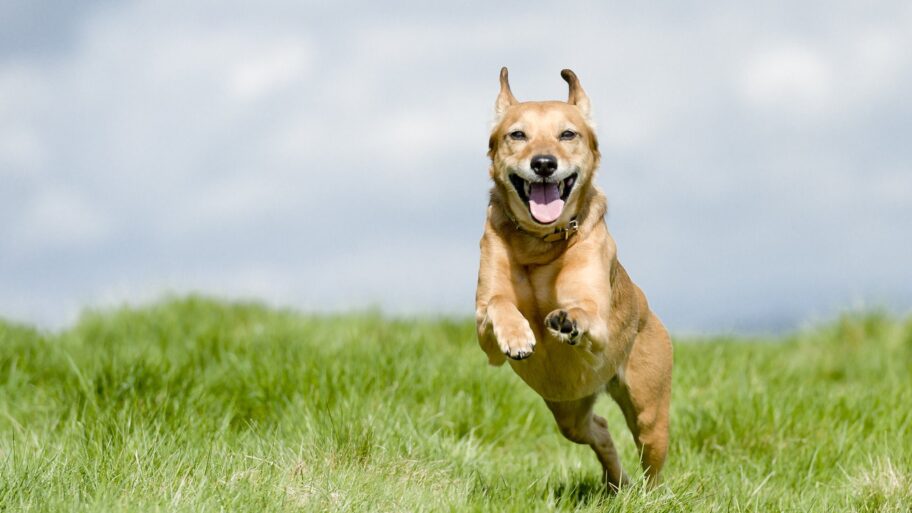 126414629 gettyimages 175597750 1