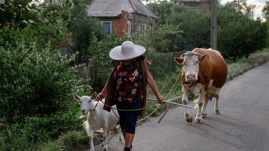 126352622 gettyimages 1242482532