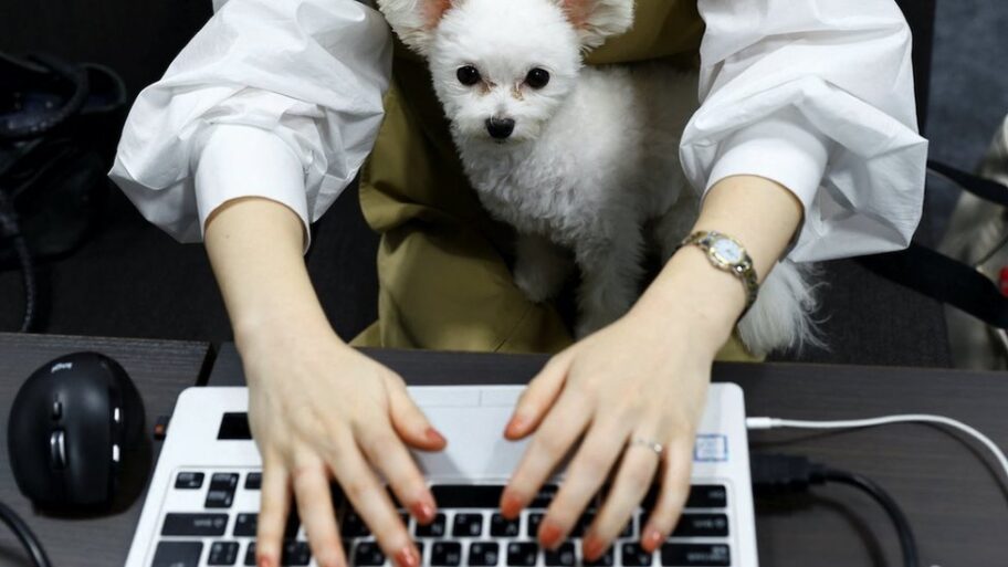 126881208 bc235c2e f18a 4fab 81d4 2d4fe9ea2a68