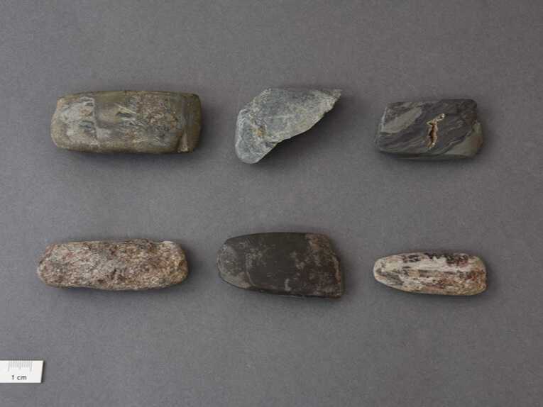 11-Svinjaricka-Cuka-Axes-860x575