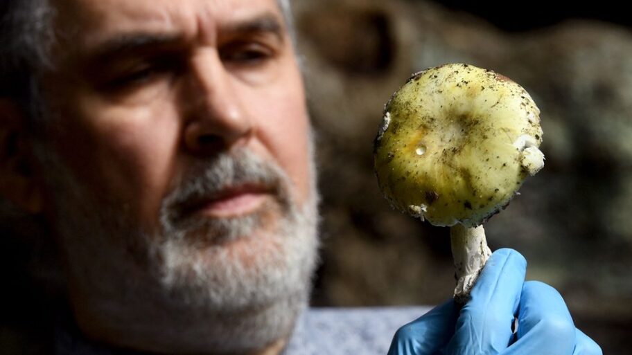 126963564 gettyimages 1232033700