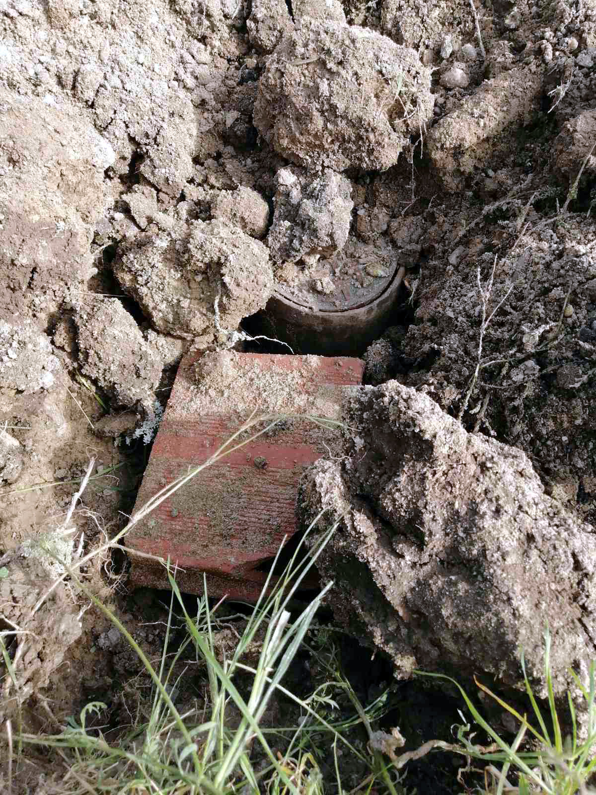 Podvinik dan nakon radova2; foto S. I