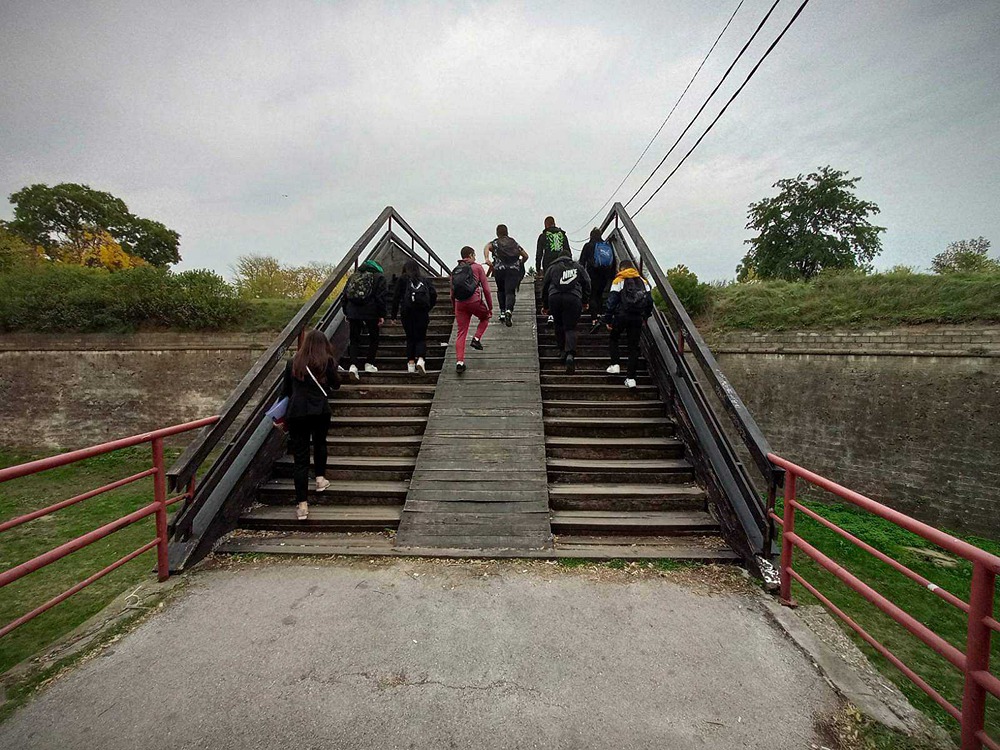 drveni most jelena misic 2