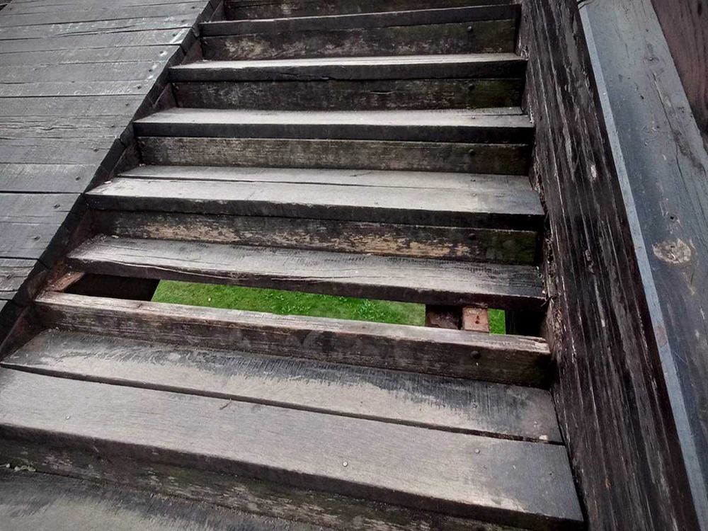 drveni most jelena mišić 3