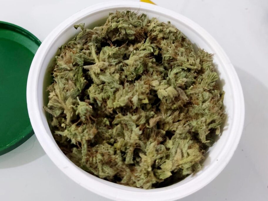 Kod Niške Banje otkrivena laboratorija za uzgoj marihuane 12 marihuana01 mup