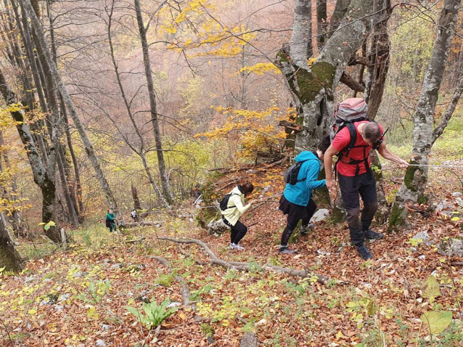 Posle četiri sata Gorska služba spasila rekreativce sa Suve planine 10 spasavanje suva planina foto gss