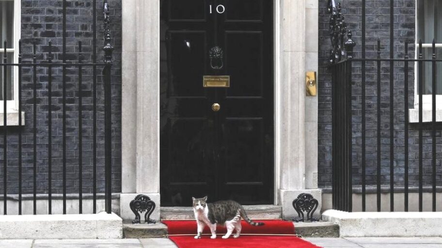 127302828 e7a18aed4259d7fa380f3528ef7ffda9f346aa3672 117 4177 23511000x563