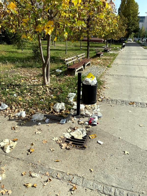 Naselje Stevan Sindjelic smece; foto: citalac