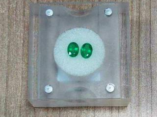 320x0_pokusali-da-prenesu-novac-i-smaragde-foto-mup-4