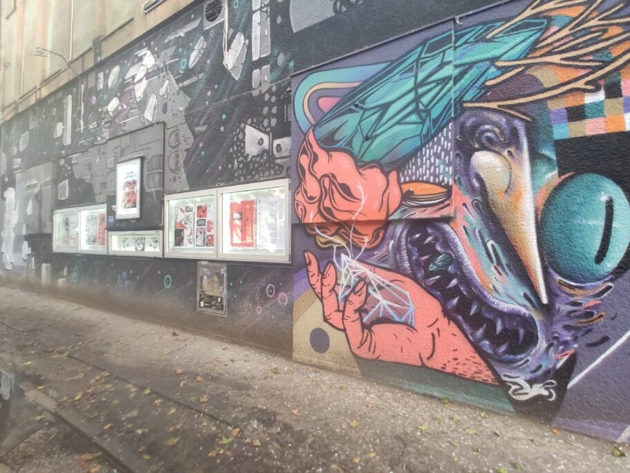 Sarala se ulica sama od sebe ljudi su dolazili lepili stikere radili murale foto JV Nikola Djukic