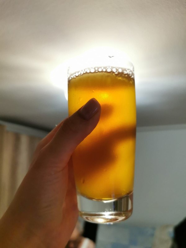 Mesec dana nakon kuvanja i fermentacije, pivo je spremno za degustaciju_ foto_ privatna arhiva