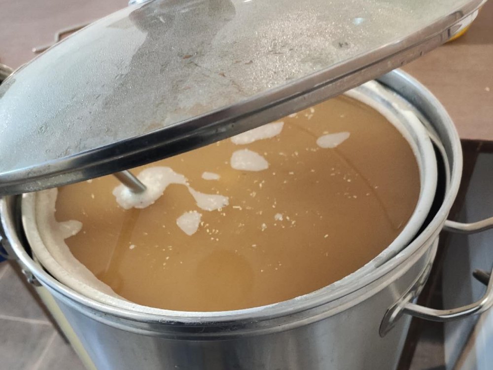 Nakon sto se iscedi jecam, pivo dobija svoju prepoznatljivu boju i miris_ foto_ privatna arhiva