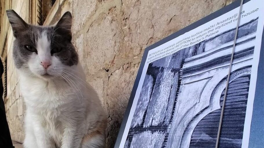 124605460 1ed6986c 1dcb 4e21 adda 28ca0ec50414