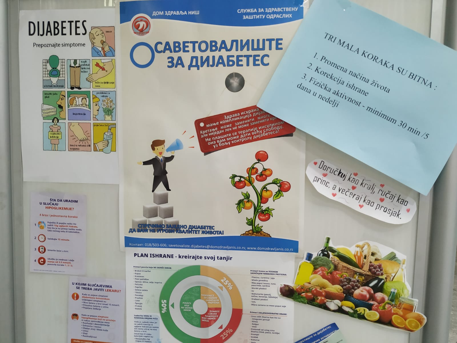 dom zdravlja 1, svetski dan dijabetesa, foto jv sonja vidojkovic