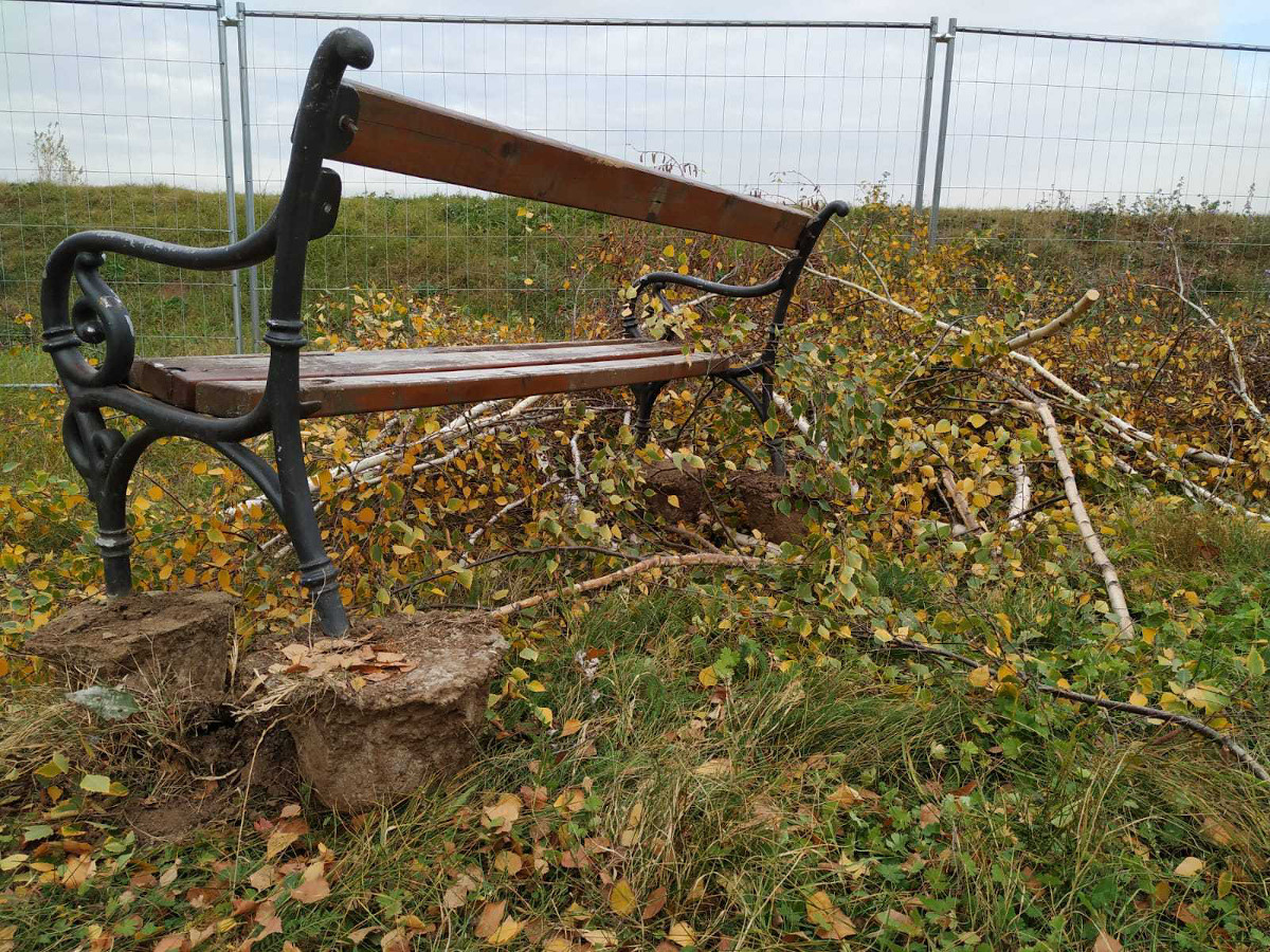 Seča stabala kej Niš, novembar 2022, slika2; foto: JV Sonja Vidojković