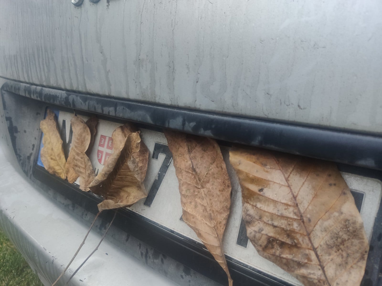 tablice kola ilustracije foto jv sonja vidojkovic