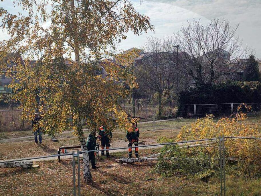 Protestna šetnja sutra na nišavskom keju - građani žele da sačuvaju zelenilo 4 Radovi na keju Nis novembar 2022 slika2 foto citateljka