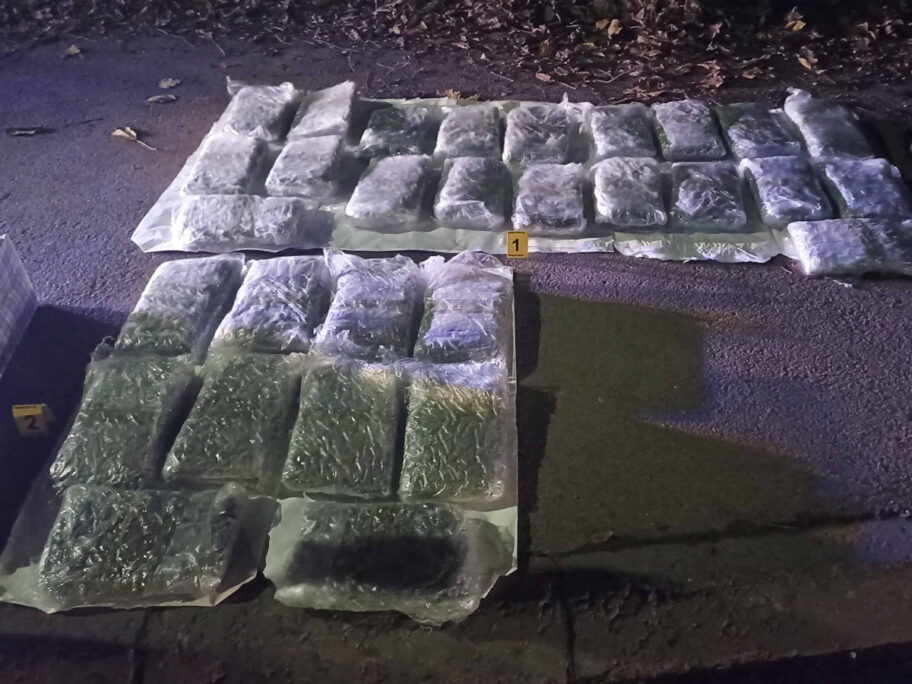 droga marihuana nis hapsenje foto MUP