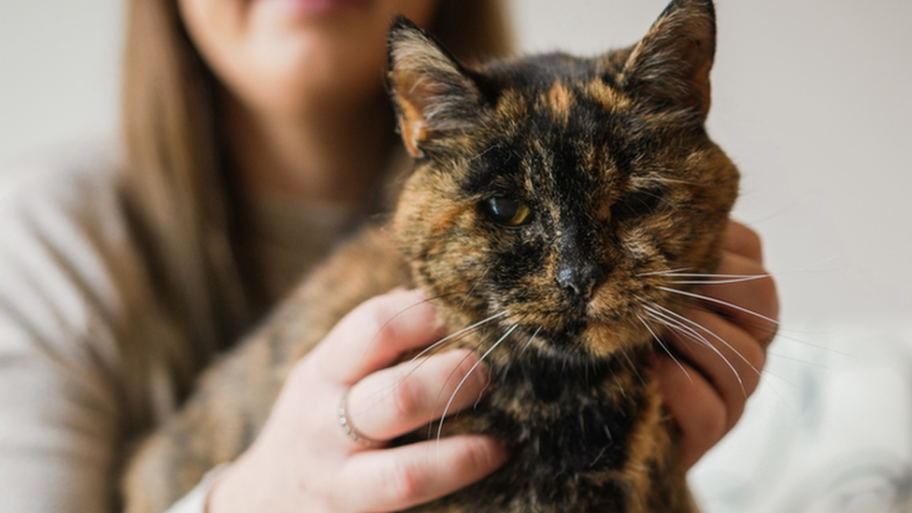 127751811 screenshot2022 11 23121333