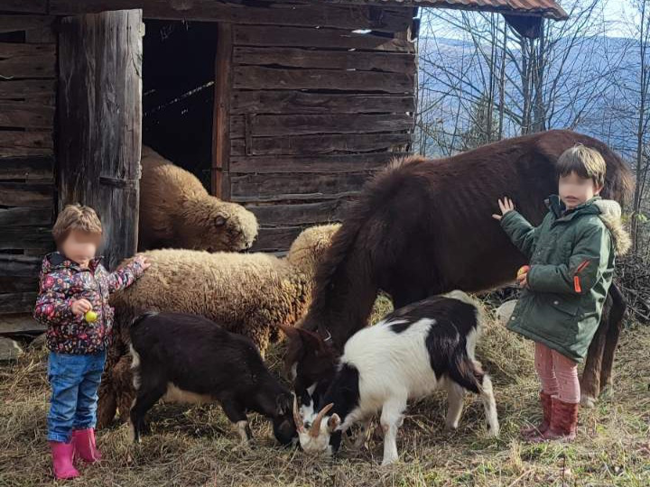 IMG-4e89bf0575b623093b6c131e0b9d9fd6-V