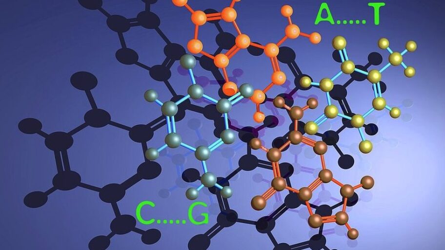 127986322 00a9cb5c 5f62 4a97 acbf 551577b78c17