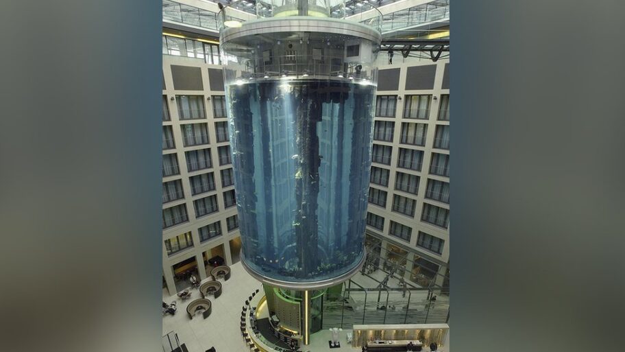 128037919 aquariumthumb 01