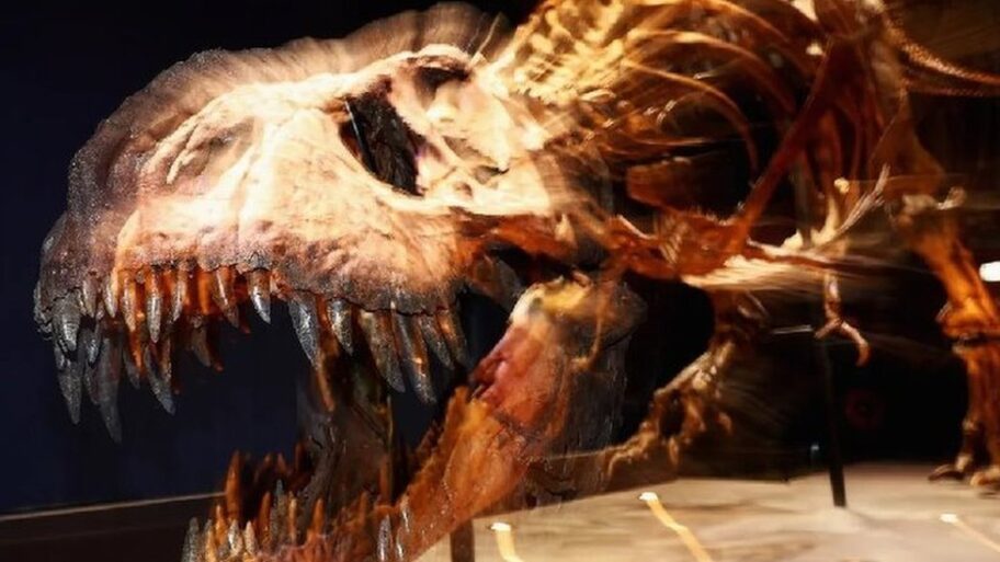 128002691 e9a26804 78e7 4059 9964 36c925dc663a