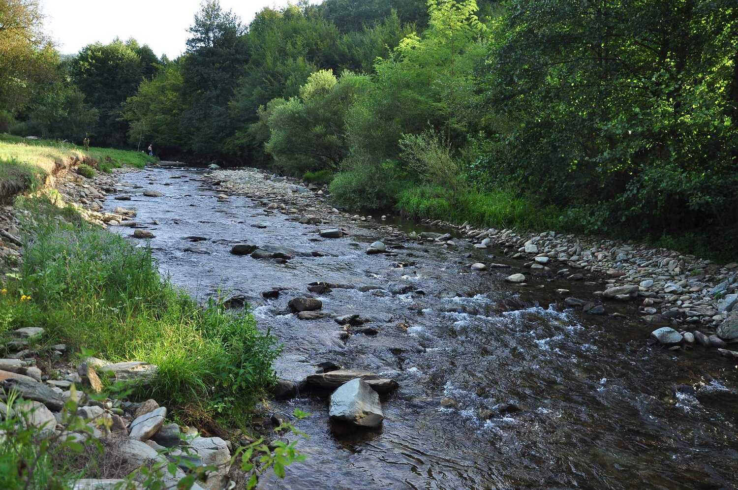 received_1847226572313454