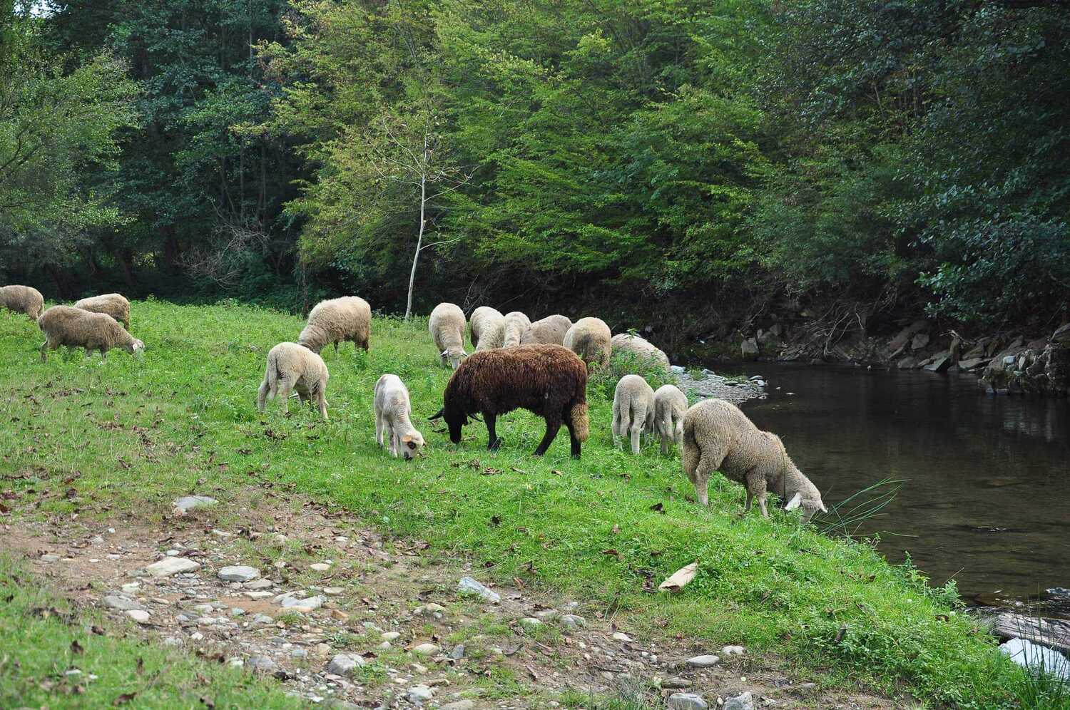 received_1578763372584594