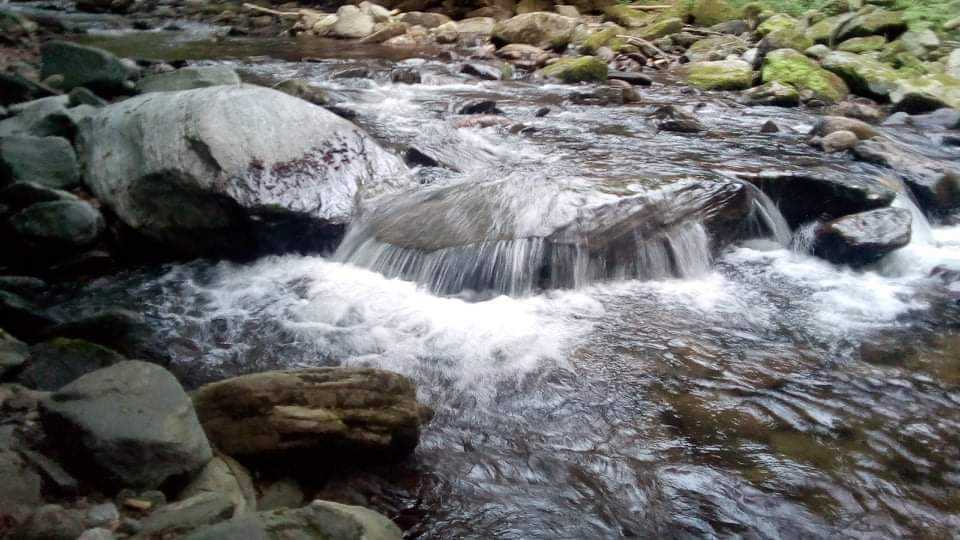 received_696651715464547