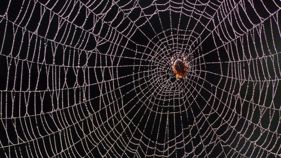 128104772 a73d900c 7876 4a42 8523 3028a765bebb