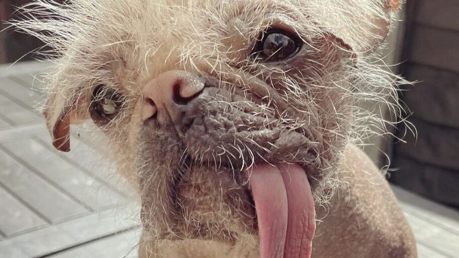 128333822 mediaitem128333820