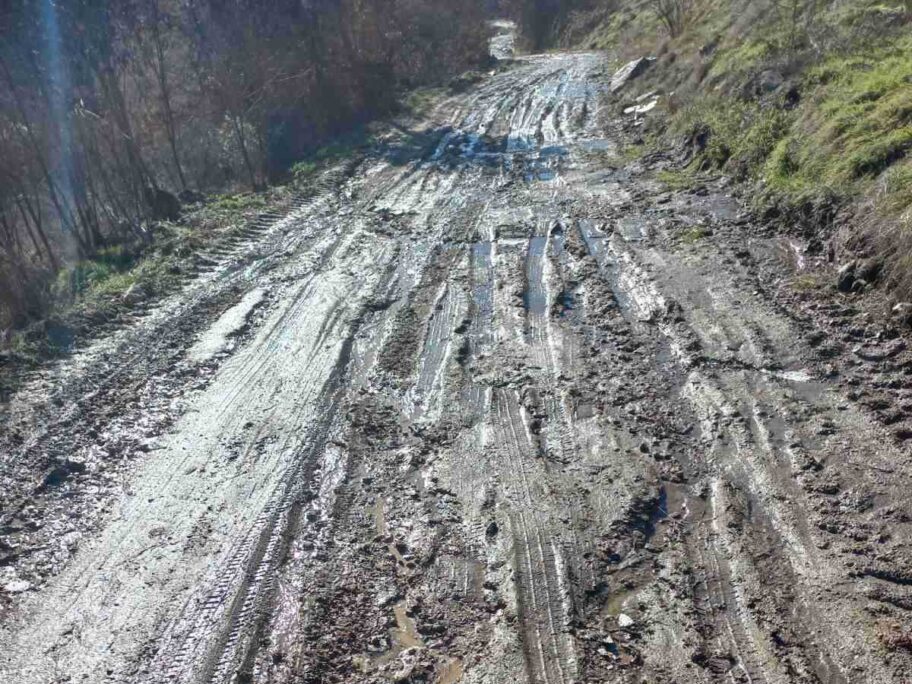 IMG 57f6743a97e803ebd4cae02b753e9771 V