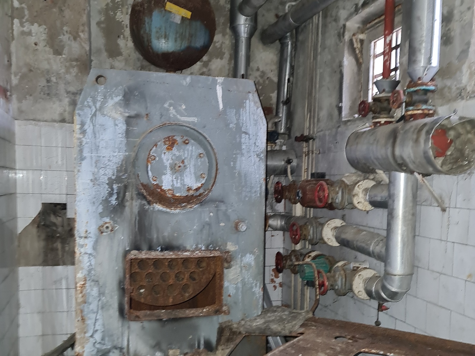 samoposluga, delijski vis