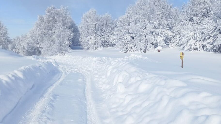 128588952 img 8ded0183651184b3b0ea4c8240c05ea5 v