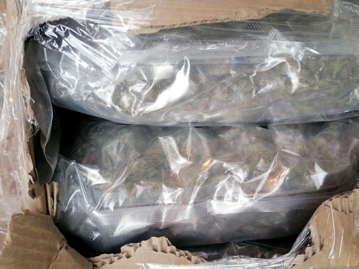 Zaplenjena droga Gradina 3 februar 2023 foto MUP