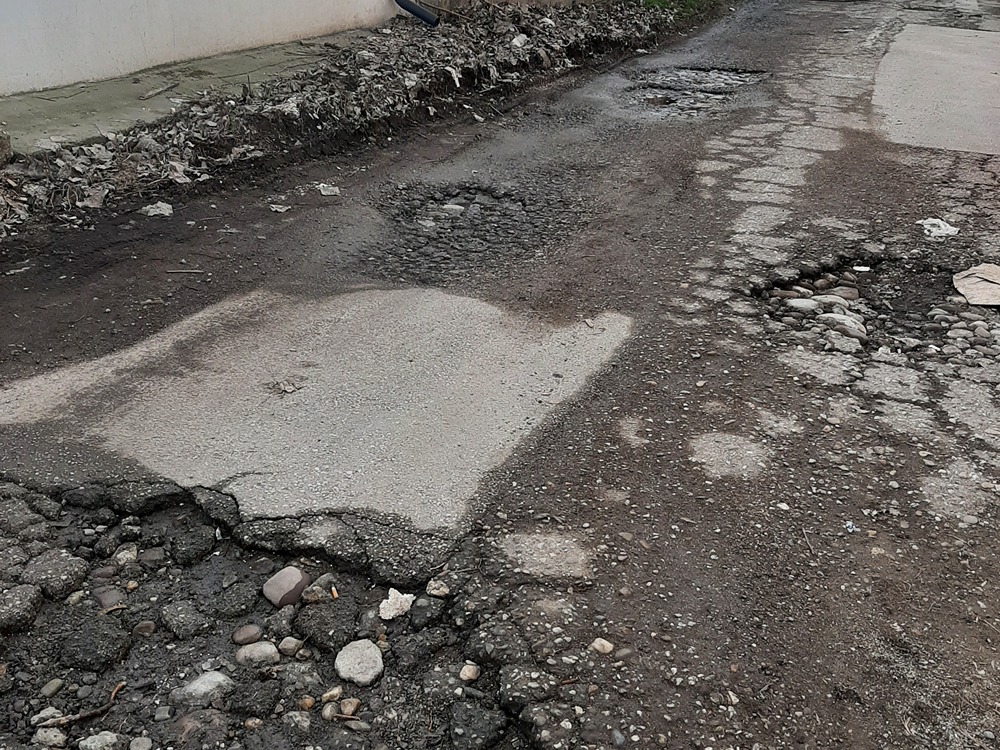 koste abraševića čitalac 02