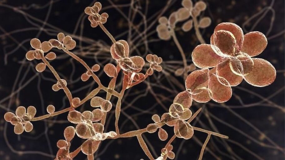 128594068 0128247a 03af 4c17 afef 90fffb45467b