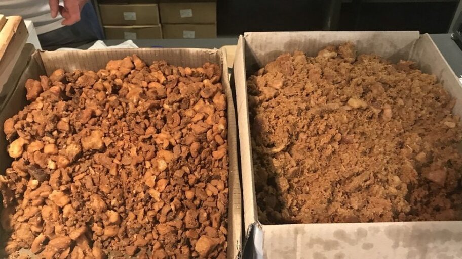 128698641 img 4966 1