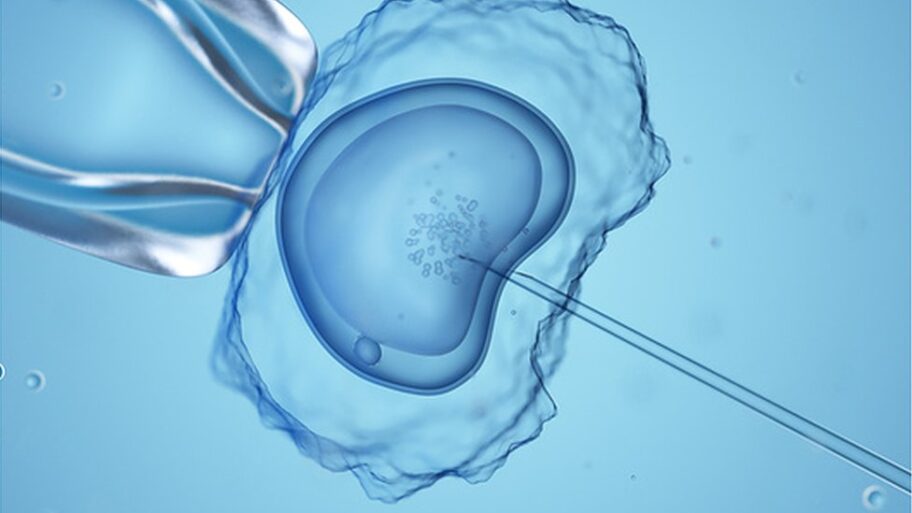 128859319 in vitro fertilisation illustration