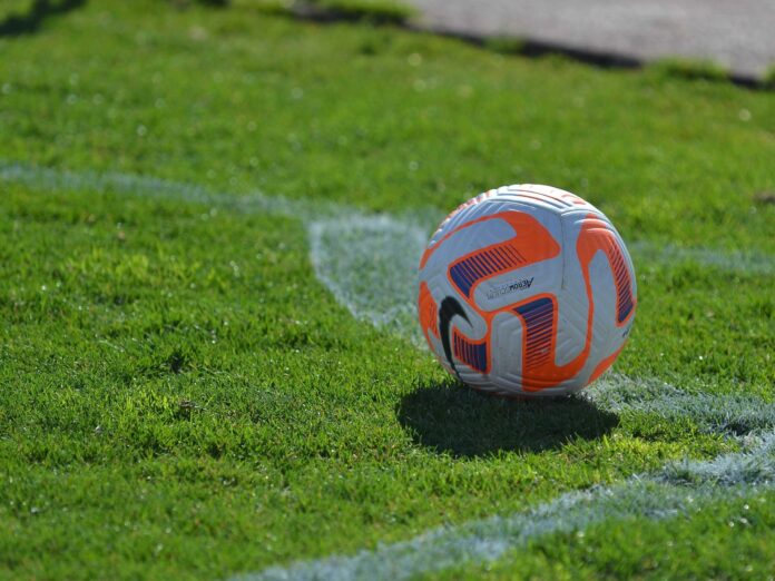 fudbal lopta ilustracija foto jelena misic scaled