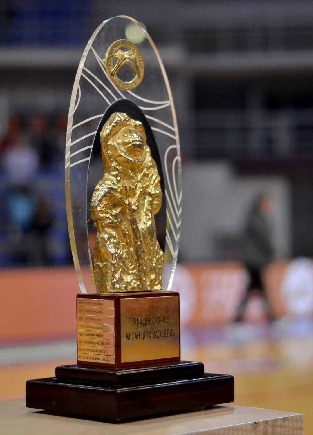 kup milan ciga vasojevic, finale, nis, foto jelena misic 3
