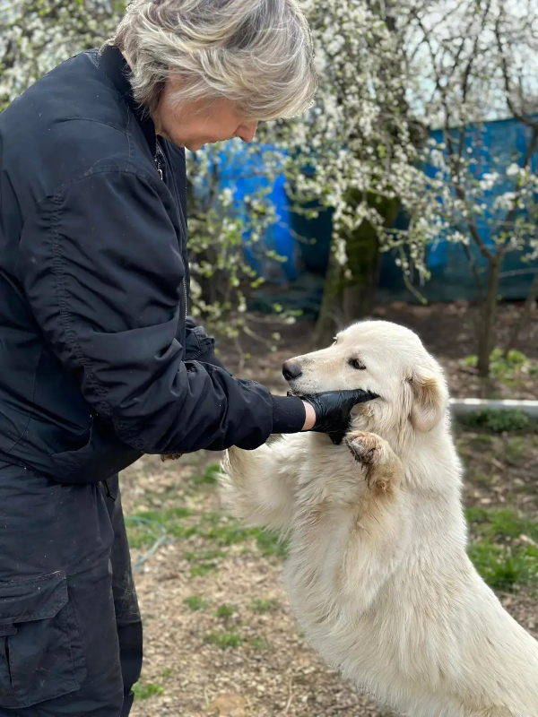 Tanja Lakićević - Vranje