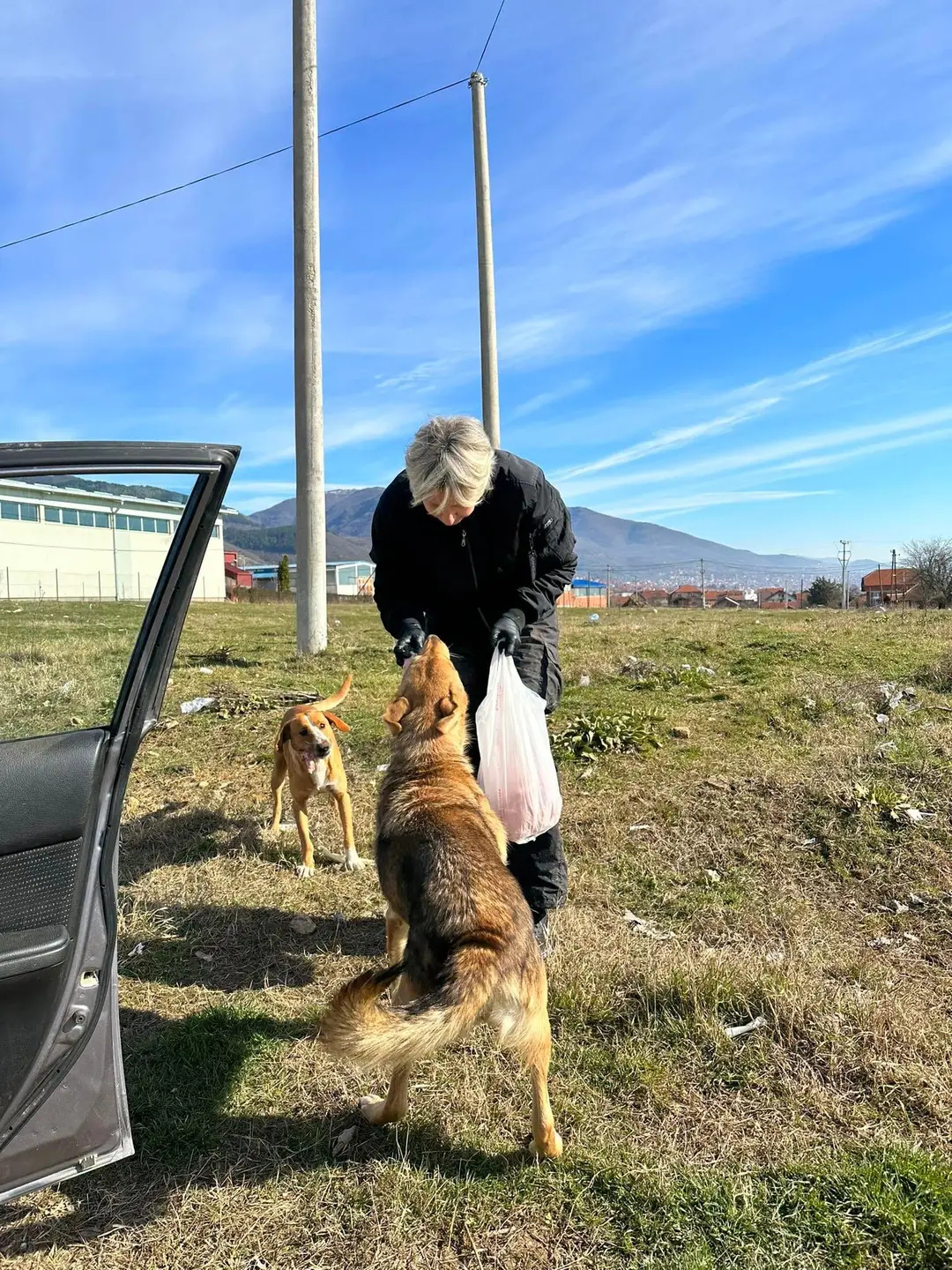 Tanja Lakićević - Vranje