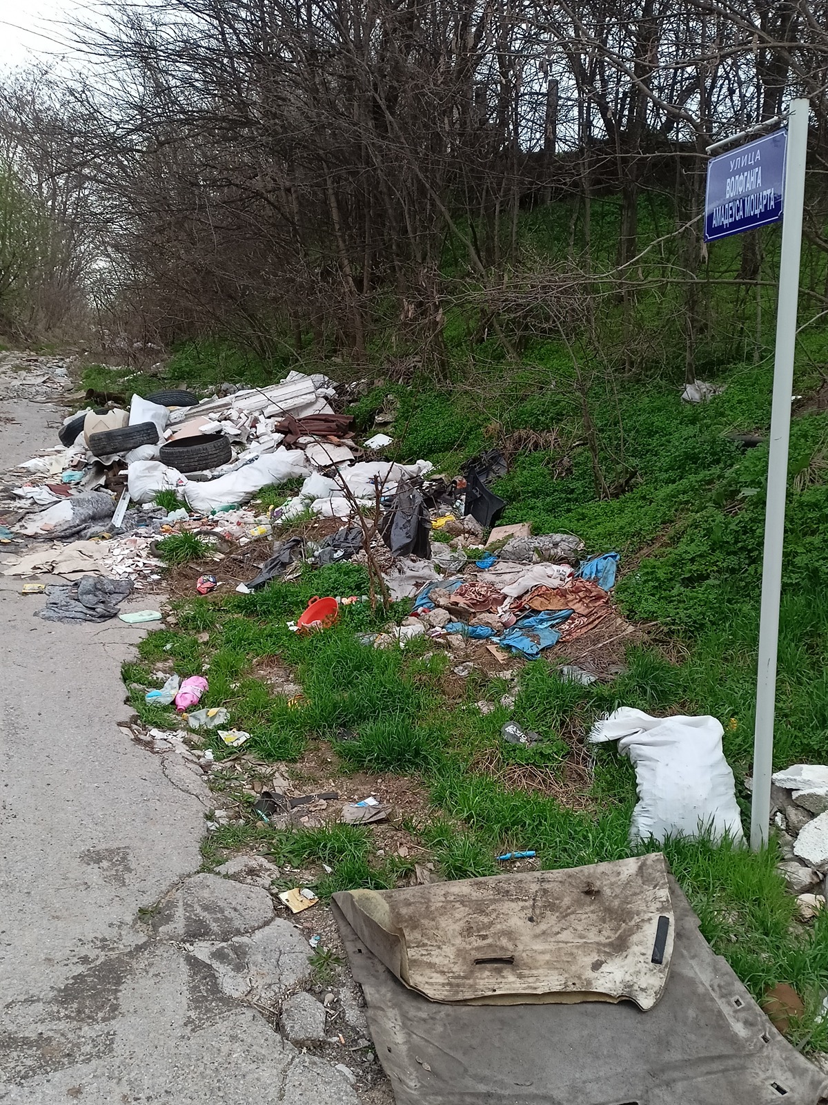 Ulica Volfganga Amadeusa Mocarta deponija