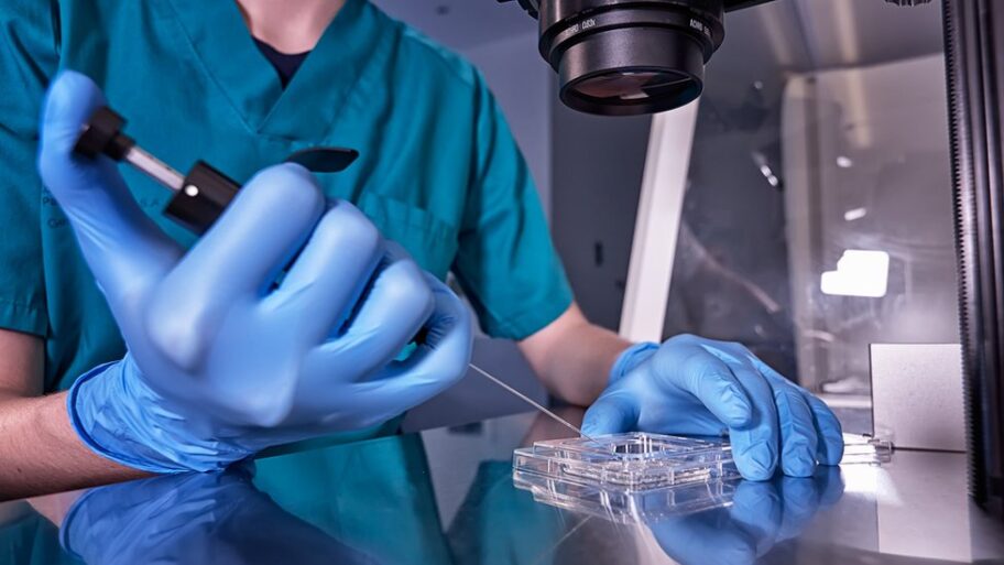 129273794 gettyimages 1272954252