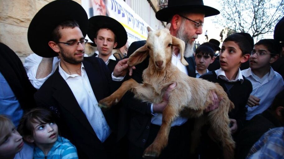 129290571 967dc482 392b 42d2 bce2 70dbbfe73c11