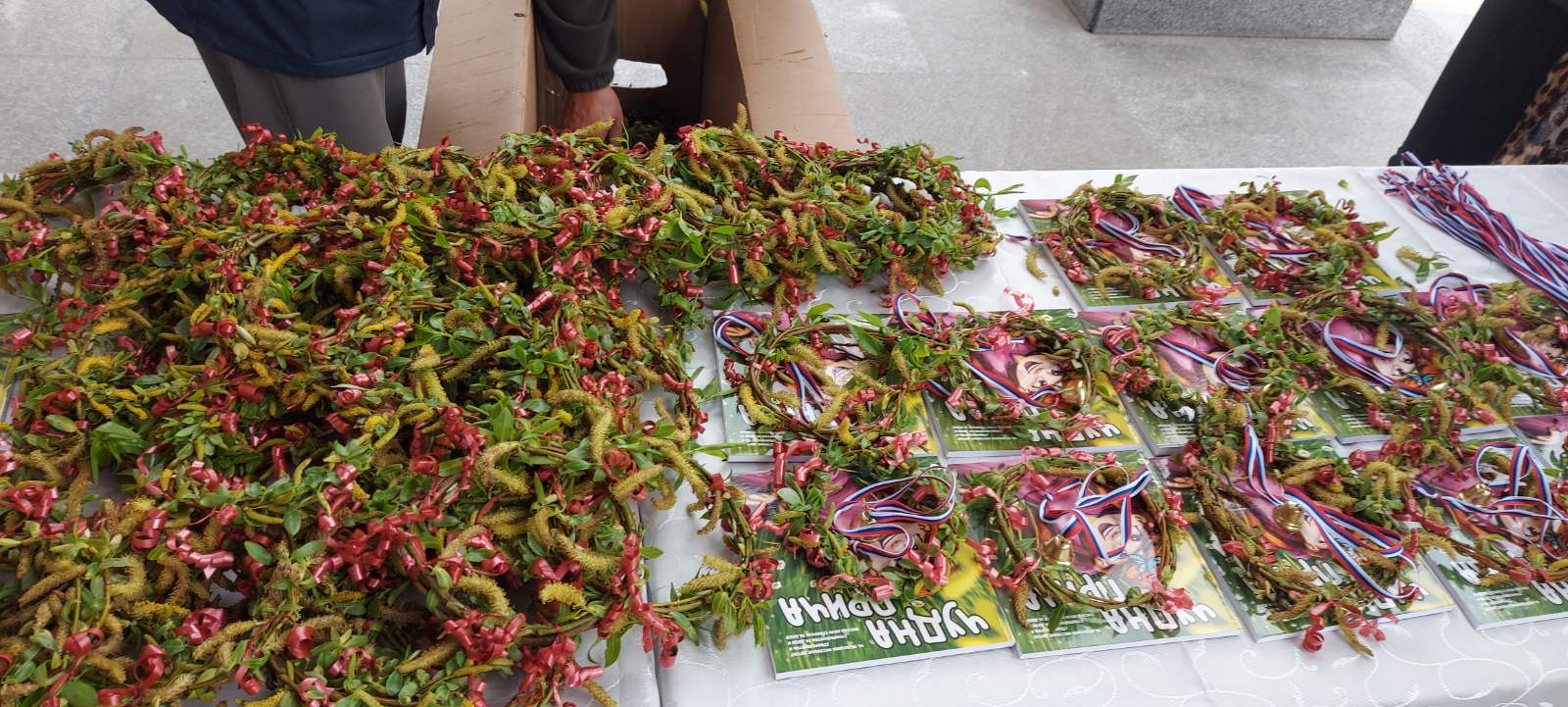 3 Vrbica 2023; foto: Opština Medijana