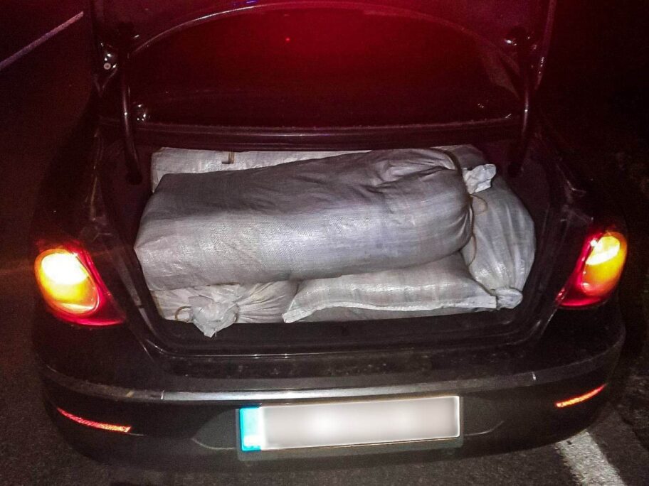 340485822 730943025420047 3928847265774269861 n