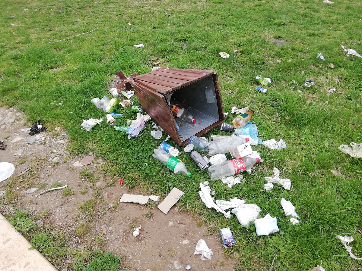 IMG_20230408_145859 (1)